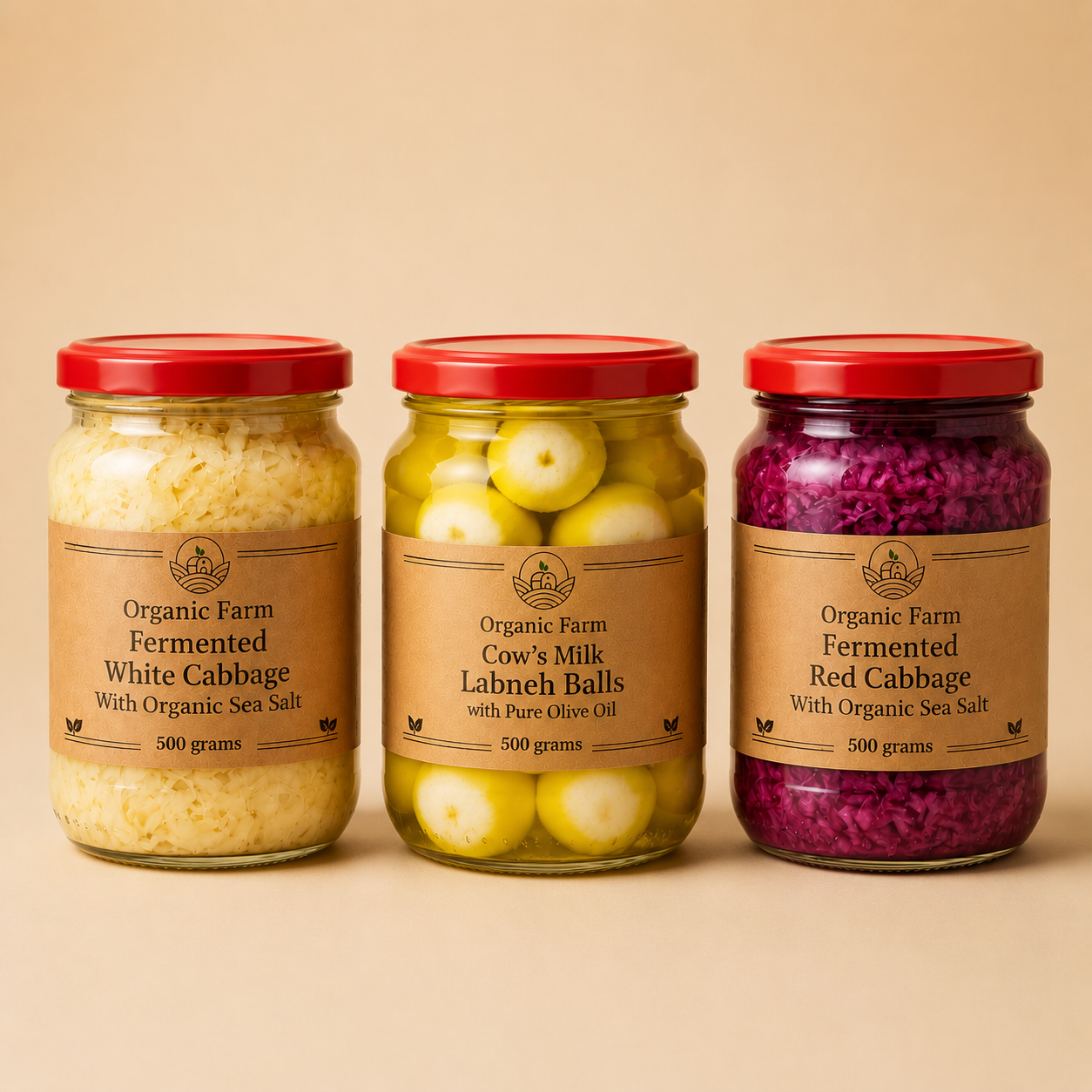 باقة الأطعمة المخمرة - Fermented Foods Bundle