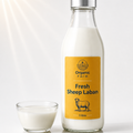 Fresh Sheep’s Laban 1 Litre (Naturally A2) (Glass Bottle) | لبن غنم طازج ١ لتر  (عبوة زجاجية)