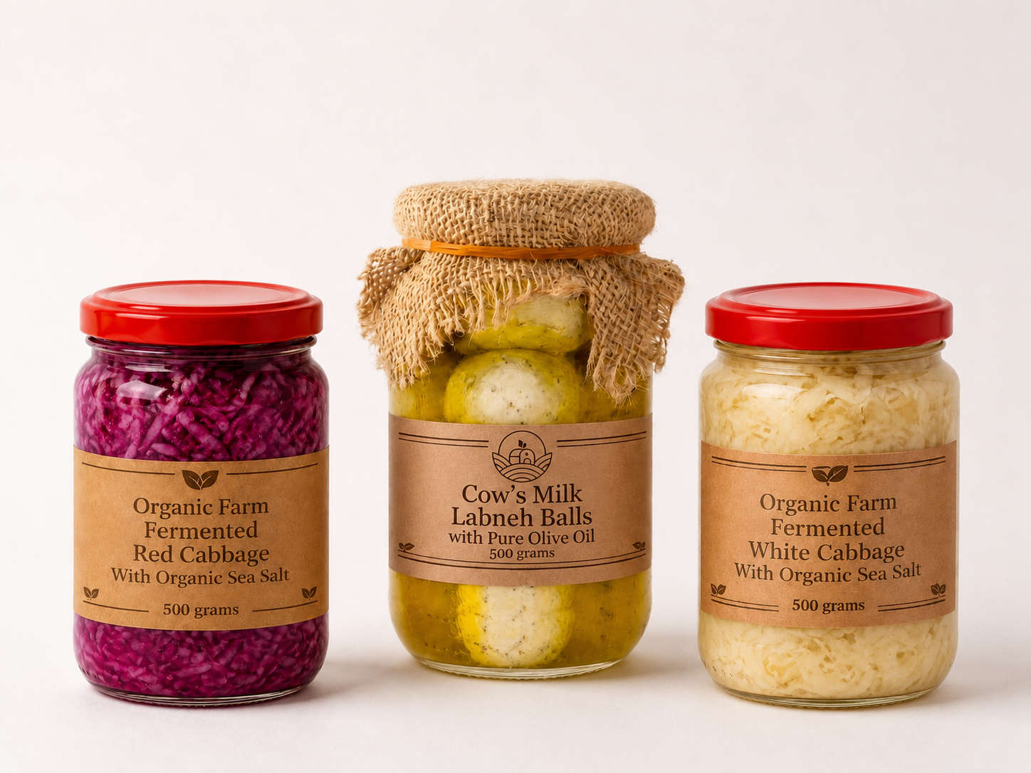 باقة الأطعمة المخمرة - Fermented Foods Bundle