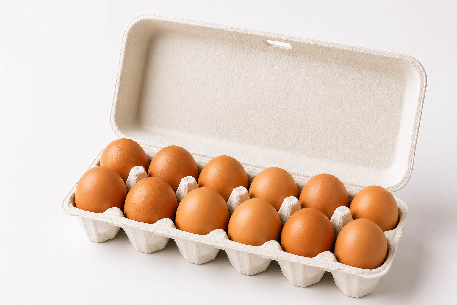 بيض  بني مرعى حر سلاسة الدجاج هولندا Free-range eggs 12 pcs